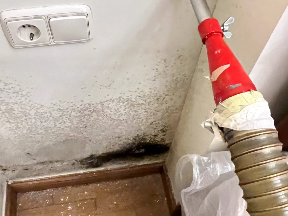 moho en las esquinas